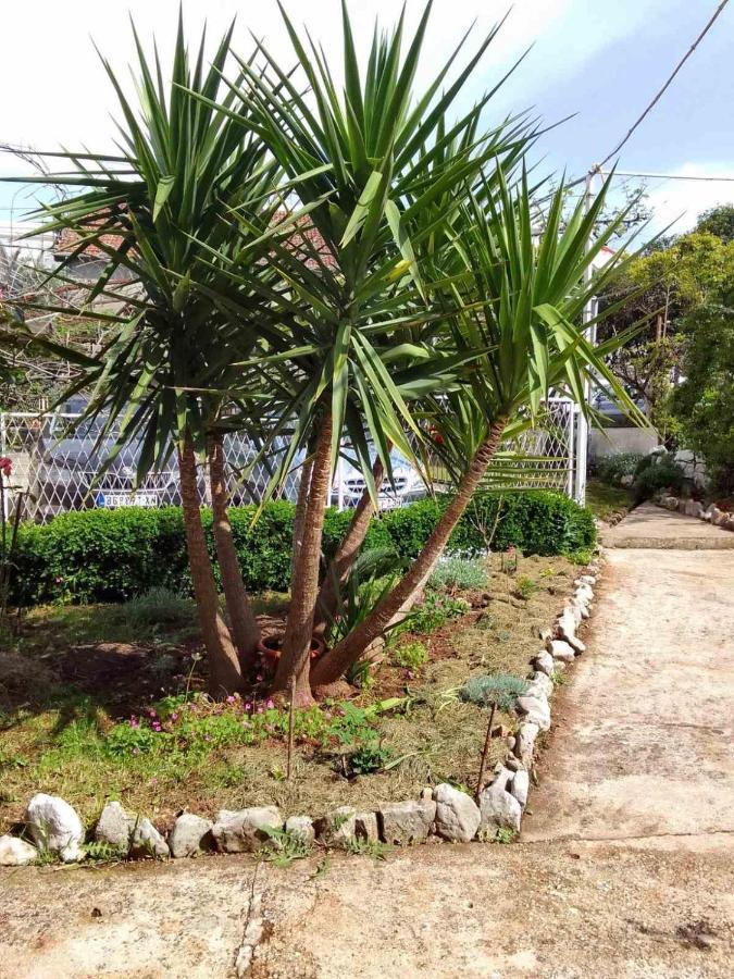 Guesthouse Djurisic 赫尔采格诺维 外观 照片