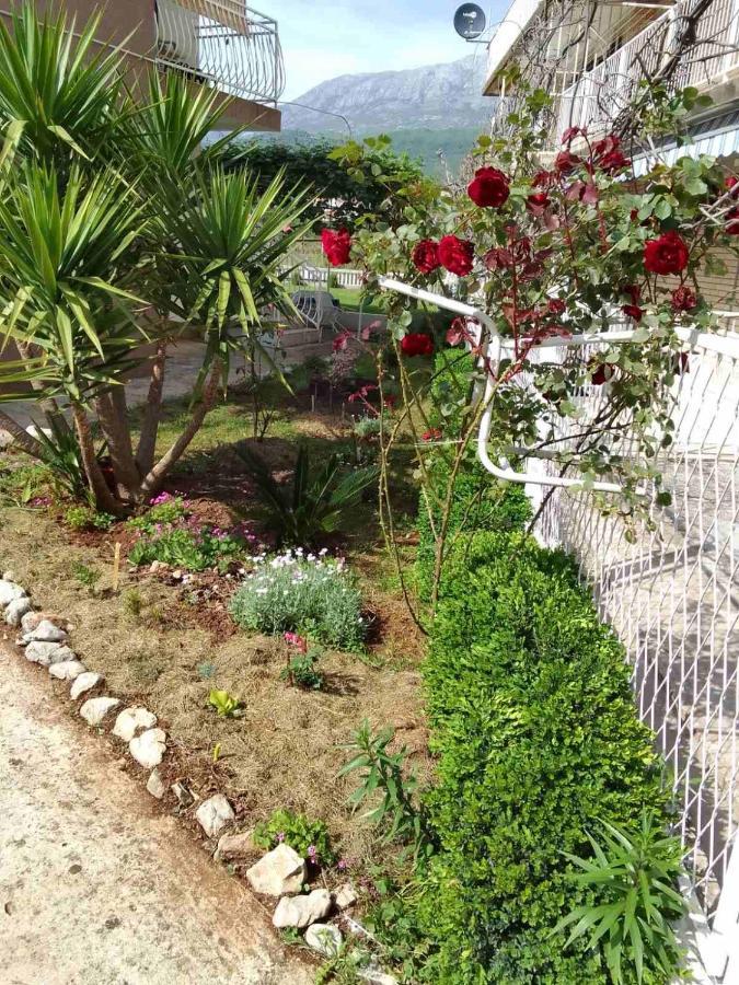 Guesthouse Djurisic 赫尔采格诺维 外观 照片