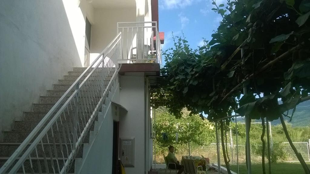 Guesthouse Djurisic 赫尔采格诺维 外观 照片